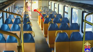 Транспортные полицейские задержали москвича за кражу сумки у пассажирки электрички