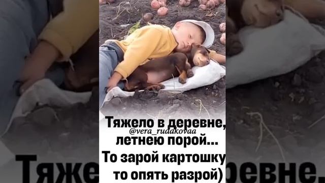 Улыбнись