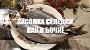 КАК ЗАСОЛИТЬ СЕЛЁДКУ! Это ЛУЧШИЙ рецепт МАЛОСОЛЬНОЙ СЕЛЁДКИ! Пряный посол ИДЕАЛЬНО ВКУСНЫЙ РЕЦЕПТ!