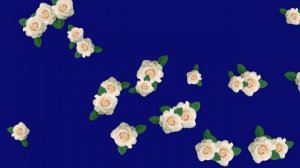 Летящие цветы