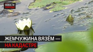 Исторический пруд в Вязёмах будут благоустраивать // 360 Одинцово