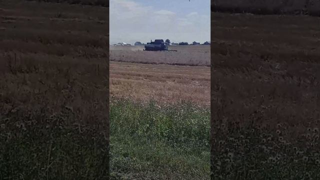 На велосипеде из Вологды в Тарногу