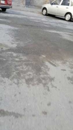 Палисадники на пр. Героев