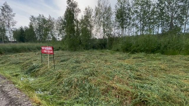 Участок 8,4 сот. рядом с Ладогой смотреть онлайн