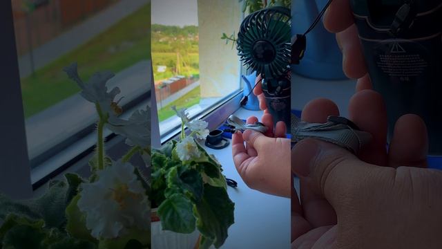 Растаможка с OZON / Супер покупка!