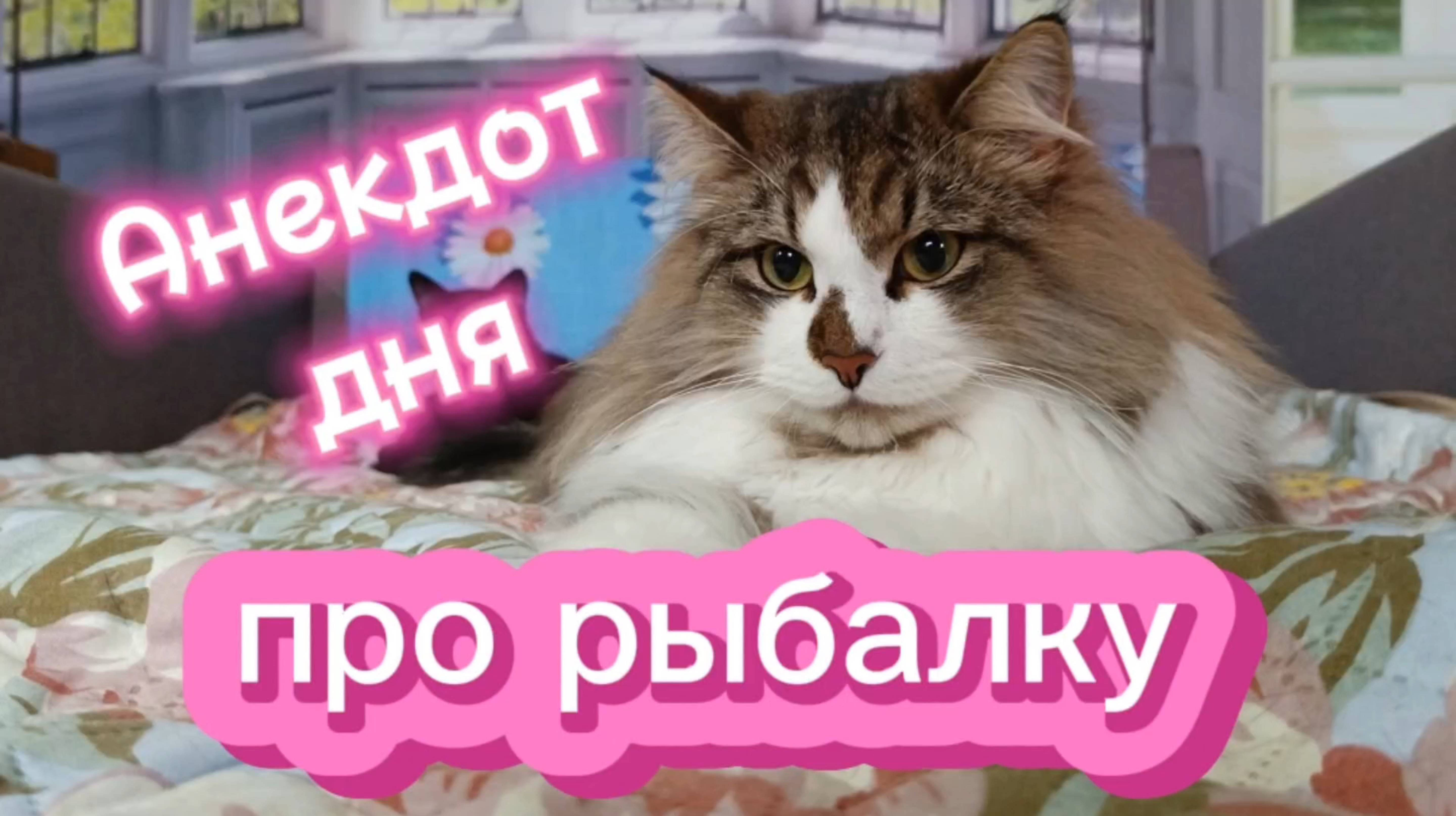 Анекдот дня. Про рыбалку.