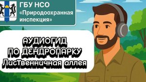 Лиственничная аллея (аудиогид по дендропарку от ГБУ НСО «Природоохранная инспекция»)