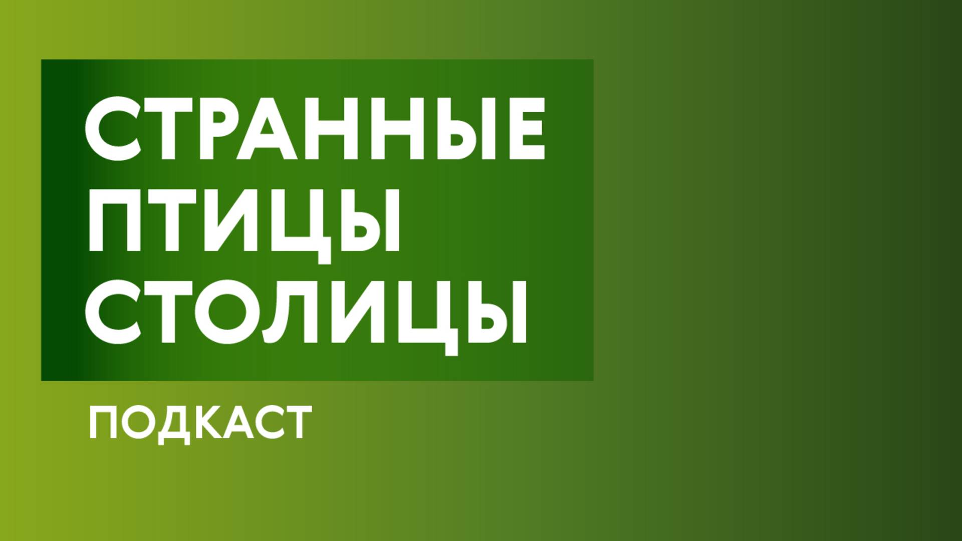 Тайны птичьего языка