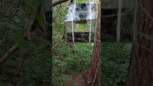 15.07.25. пополнила кормом новую кормушку для белочек.