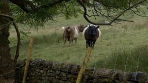 24 hours as an English Farmer