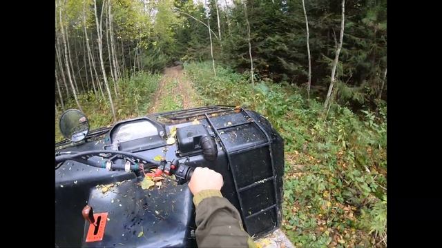 Самодельный квадроцикл. Проверка ЭКШН -камеры GoPro 7 и поездка за опятками