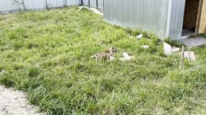 Блок для мелких старичков готов!