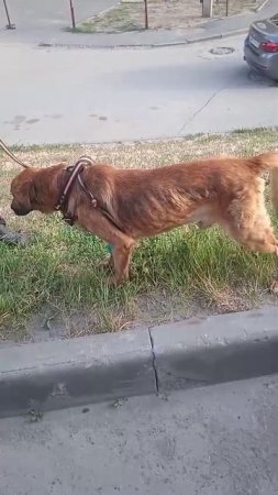 Очень просим помощи в лечении