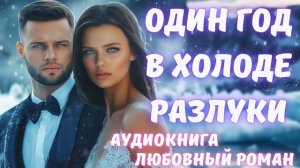 АУДИОКНИГА: ОДИН ГОД В ХОЛОДЕ РАЗЛУКИ: СЛУШАТЬ ЛЮБОВНЫЙ РОМАН