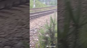 видео про поезда, разные, ( от MirN )