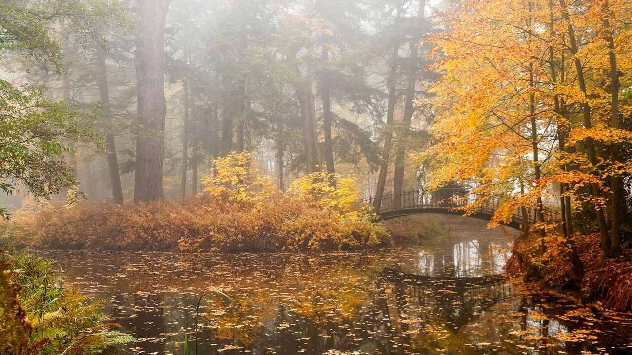 Прошлого тонкий след... смотреть онлайн