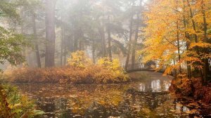 Прошлого тонкий след...