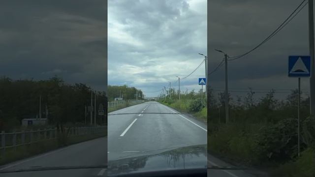 Зебры на дороге наехал