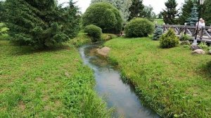 Гремячий ключ 9.07.2025