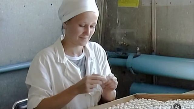 1970 е г.г.. Тюменский бренд - сибирские пельмени.