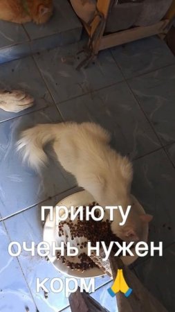 +7985 193 0027 сбер элплат