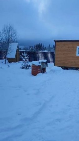 Ворота зимой. Забор штакетник "Шахматка".  Ворота с калиткой установлены  на винтовых сваях.