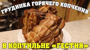 ГРУДИНКА ГОРЯЧЕГО КОПЧЕНИЯ | КОПТИЛЬНЯ "ГЕСТИЯ" НА ПОХОДНОЙ ГАЗОВОЙ ПЛИТКЕ | ВКУСНЕЙШИЙ РЕЦЕПТ!!!