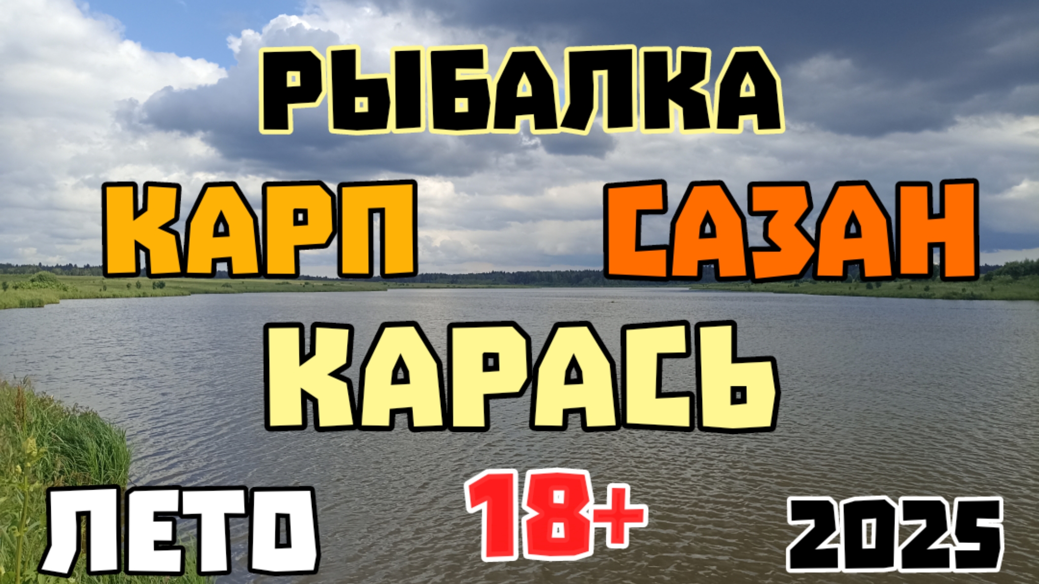 Рыбалка на фидер. Карп. Карась. Сазан. Подлещик. Московская область. 14 июля 2025 г.