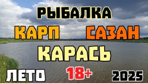 Рыбалка на фидер. Карп. Карась. Сазан. Подлещик. Московская область. 14 июля 2025 г.