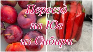 615ч🏡14.07.25-Закатала горький перец 🌶️ Подстригся/Яблоки от соседей/Ростелеком оборзел