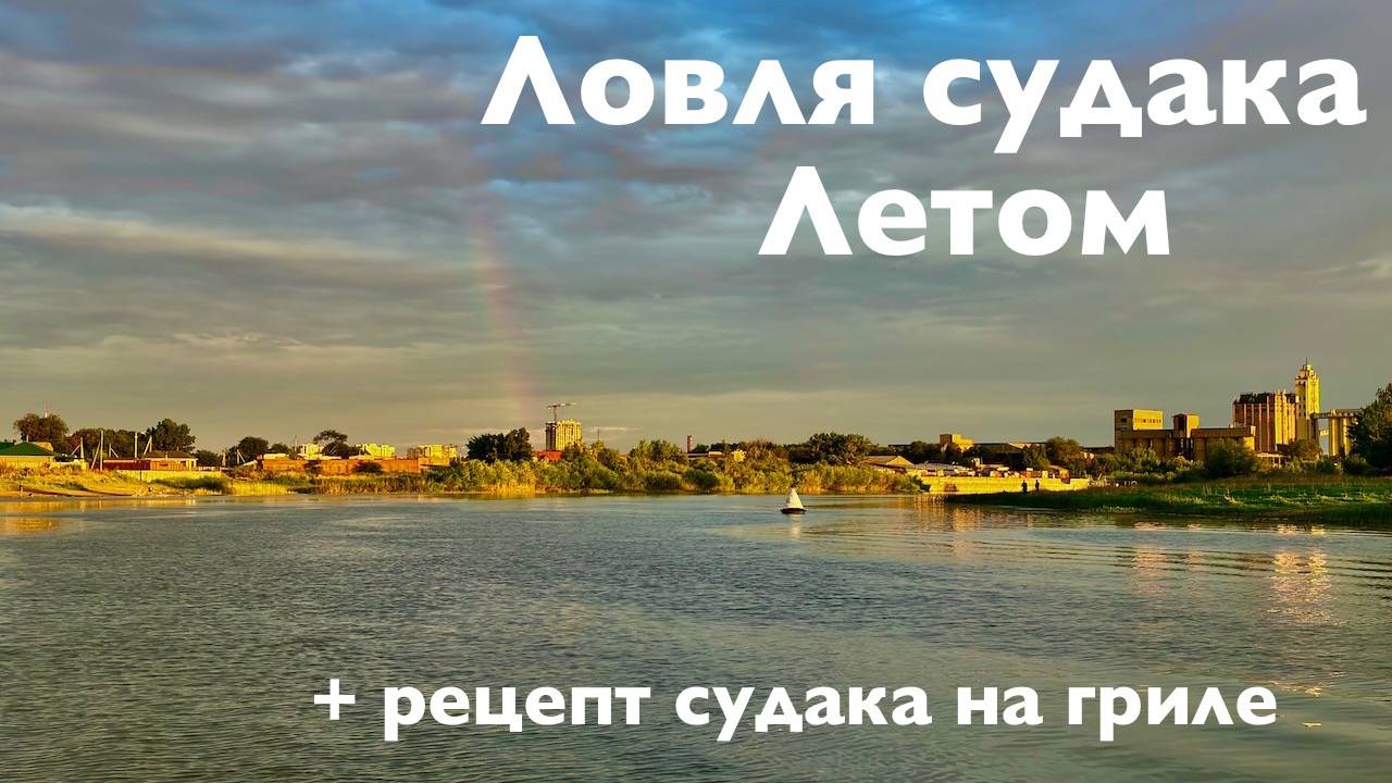 Ловля судака летом в жару. Как приготовить судака на гриле.