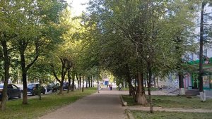 Прогулка в жаркий летний день. Прогулки без повода
