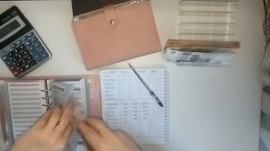 #15 РАСПРЕДЕЛЕНИЕ ПО СИСТЕМЕ КОНВЕРТОВ. 8 800 март. ДОПОЛНИТЕЛЬНЫЙ ДОХОД
