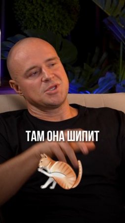 Телеграм канал «В ПОИСКАХ СМЫСЛОВ» #валентингубер #психология #развитие #здоровье