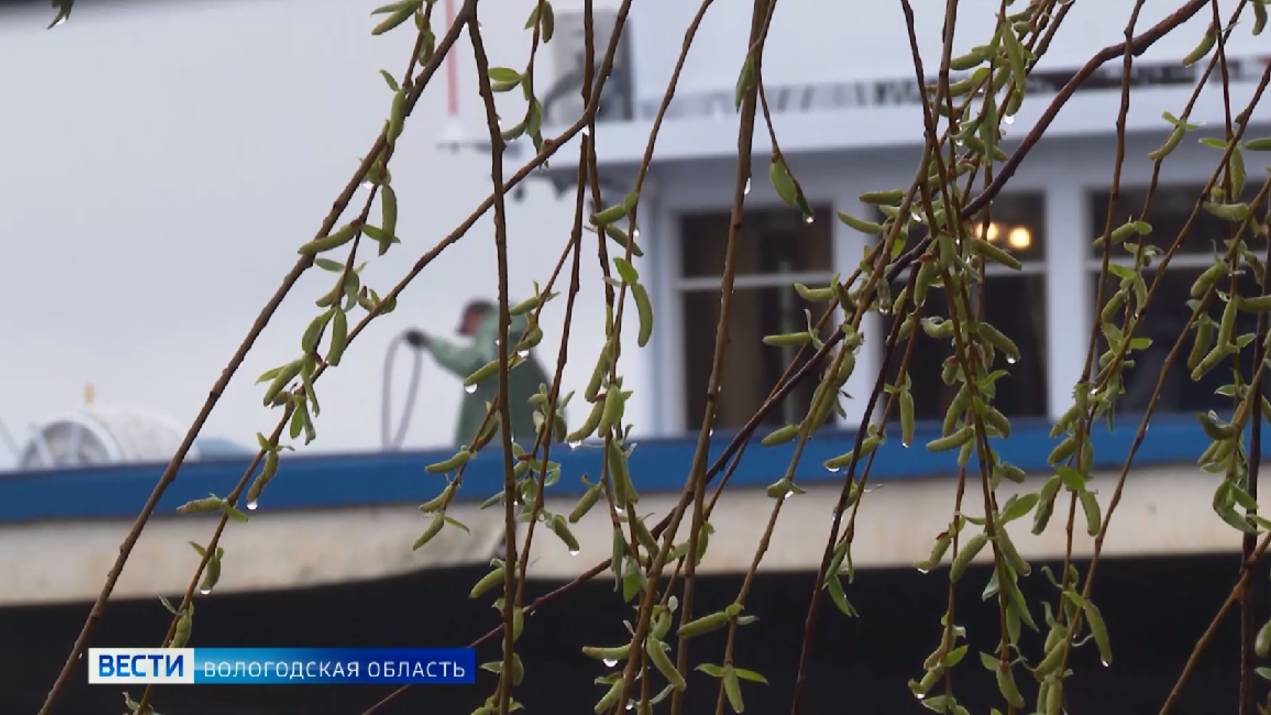 События Череповца: импортозамещение, награды волонтёрам, развитие туризма, бесплатные тренировки