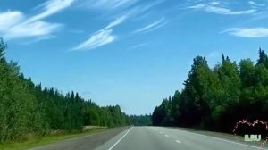 Жизненные истории - Секрет счастья - Истории о любви