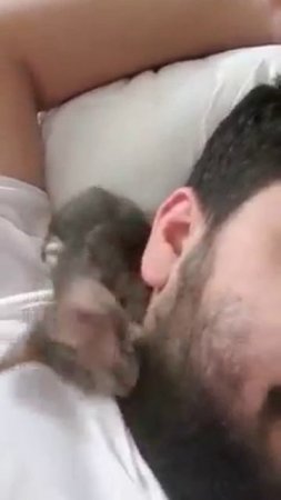 delicious ear