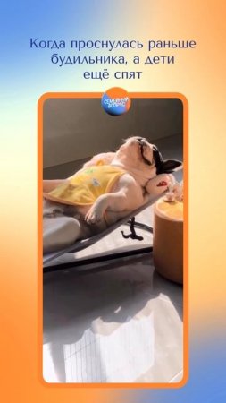 Счастливые моменты материнства