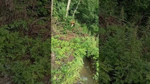 20250713   1 Из-за канавы к нам не смогла проехать машина с дровами. Водитель застрял.