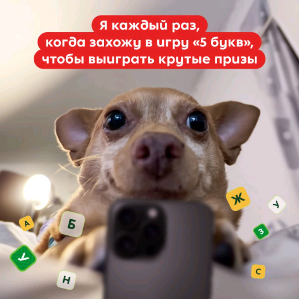 Собачка