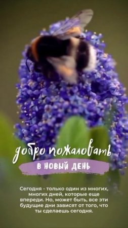 Доброе утро