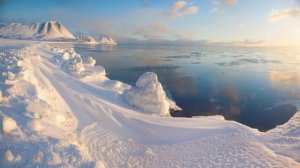 Вохник Андрей - Воспоминание