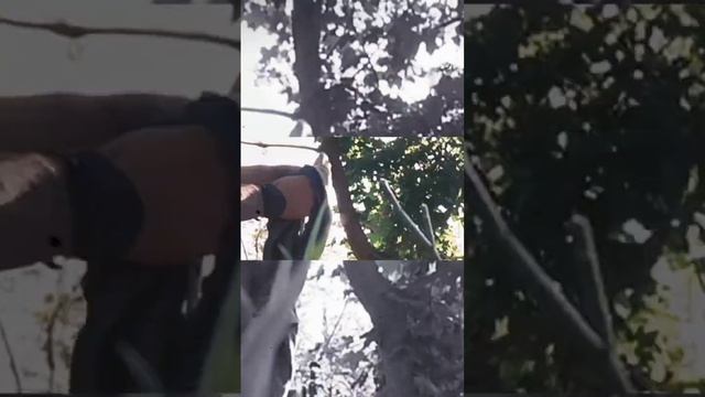 Видео от бойцов миномётной Бригады Святой Георгий Союза добровольцев Донбасса