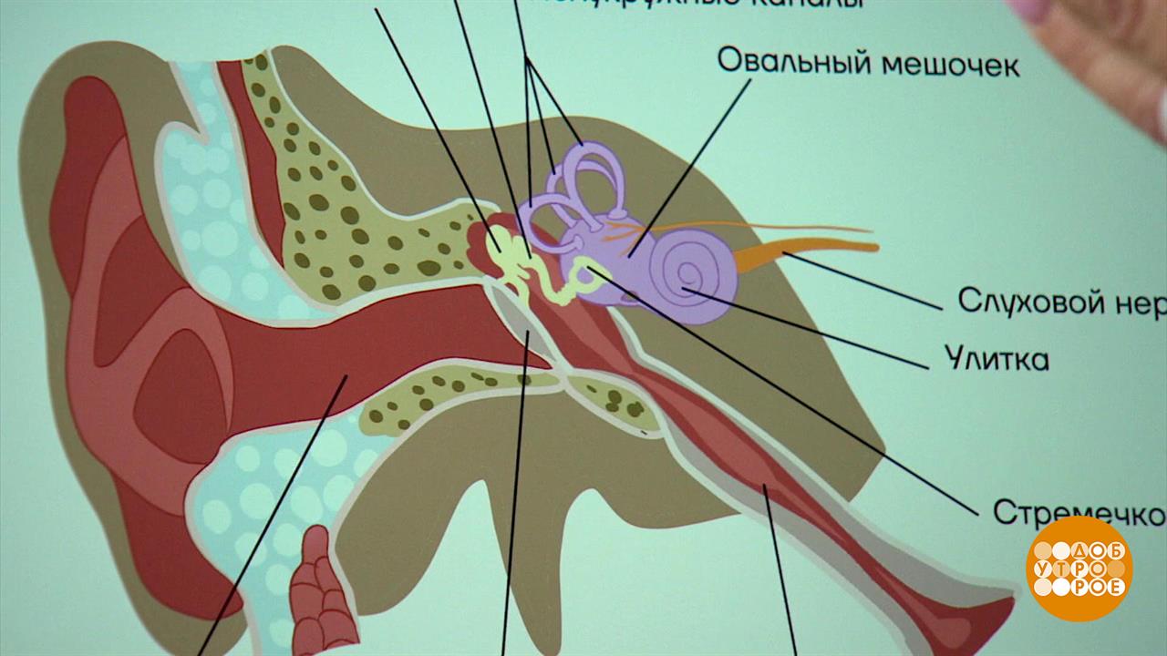 Почему в самолете закладывает уши? Доброе утро. Фрагмент выпуска от 15.07.2025