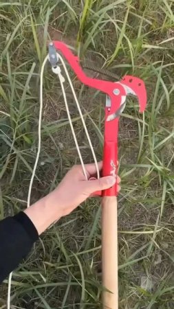 Очень удобный секатор👍