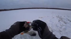 Моя рыбалка 2023