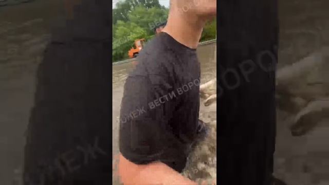 Воды на некоторых улицах Воронежа уже не покалено. По пояс. 😱