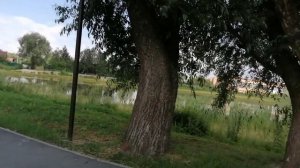 15-07-2025 пошла  пришла. караул жара