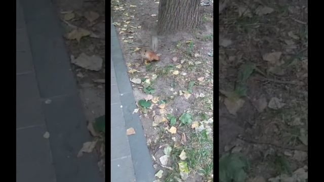 Великий ужас