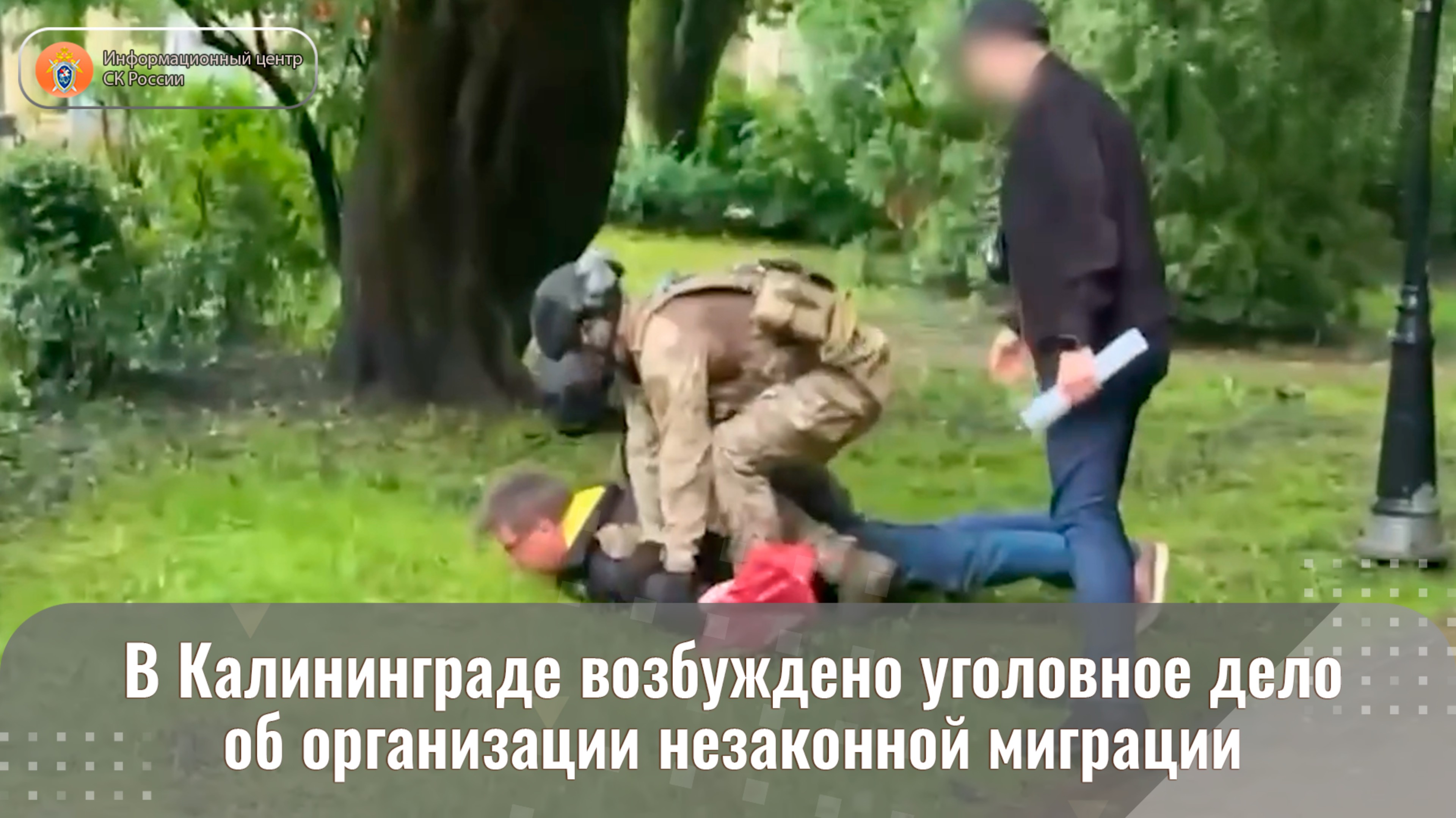 В Калининграде возбуждено уголовное дело об организации незаконной миграции